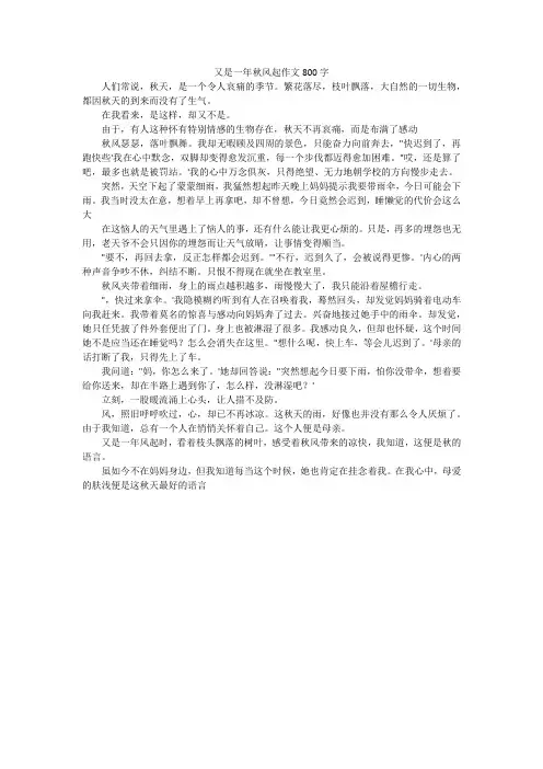 又是一年秋风起作文800字