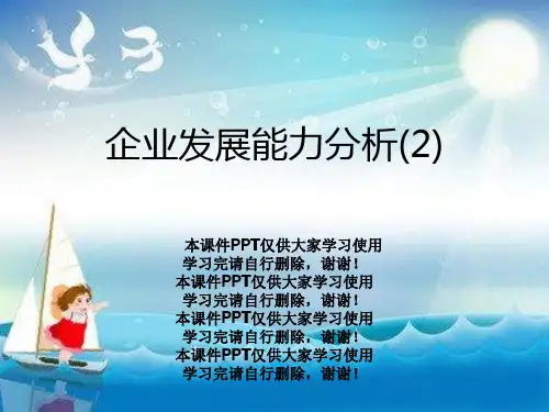 企业发展能力分析(2)