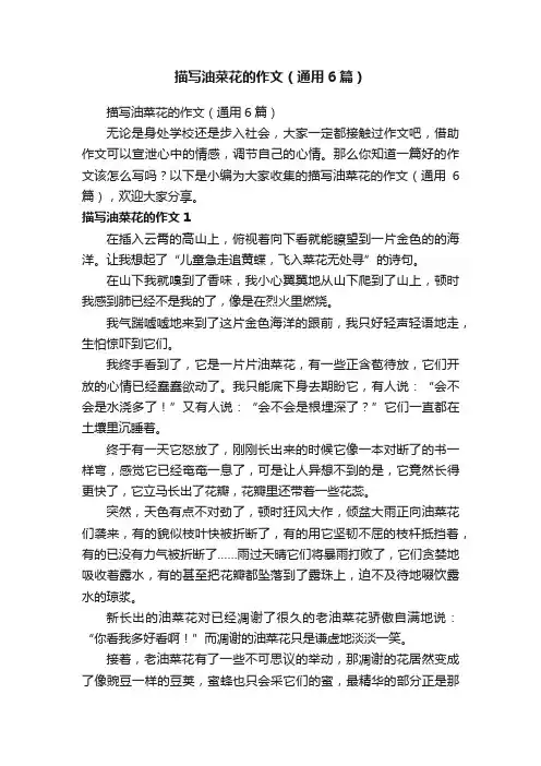 描写油菜花的作文（通用6篇）
