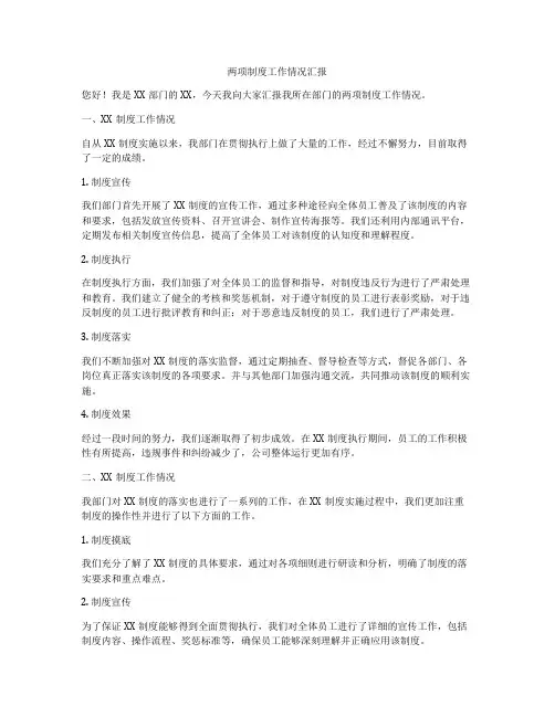 两项制度工作情况汇报