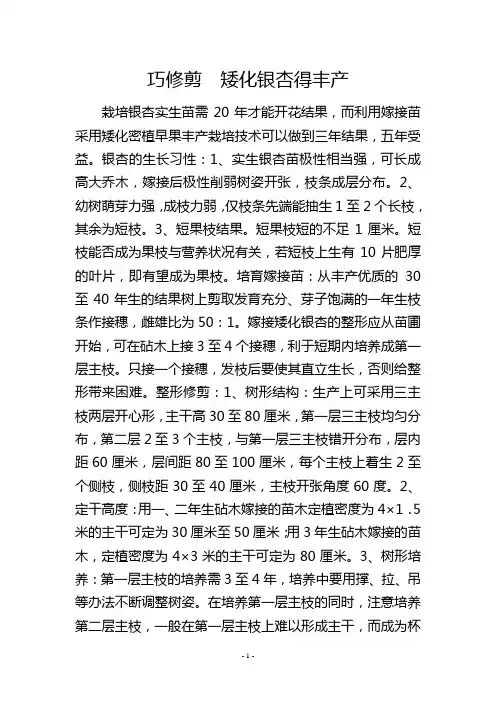 巧修剪 矮化银杏得丰产