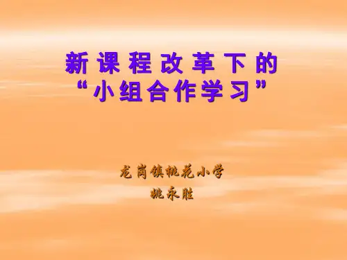 小组合作学习PPT