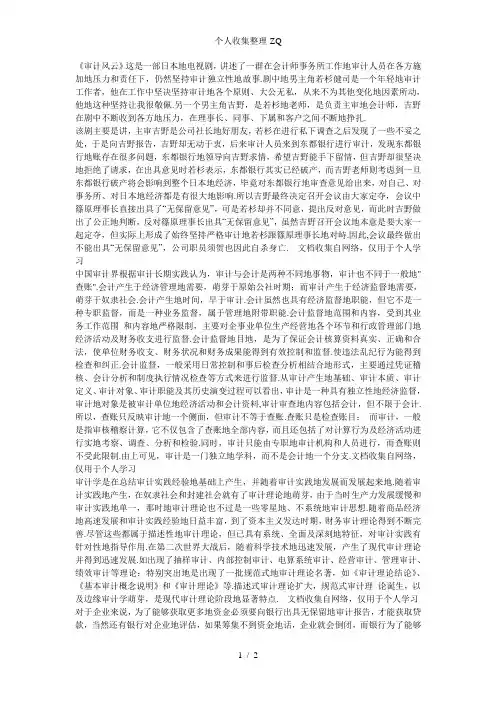 《审计风云》观后感
