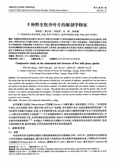 5种野生牡丹叶片的解剖学特征