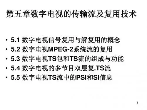 数字电视的传输流及复用技术课件.ppt