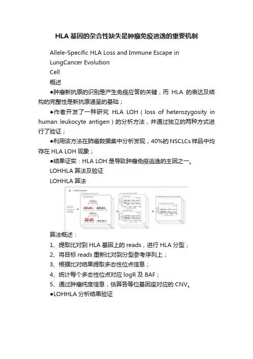 HLA基因的杂合性缺失是肿瘤免疫逃逸的重要机制
