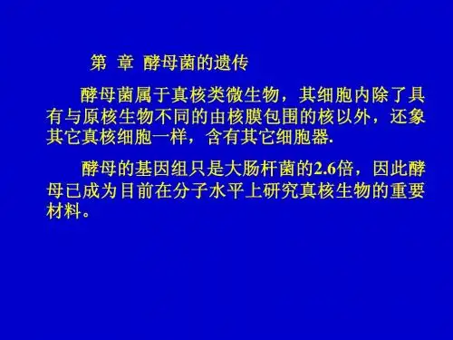 酵母遗传