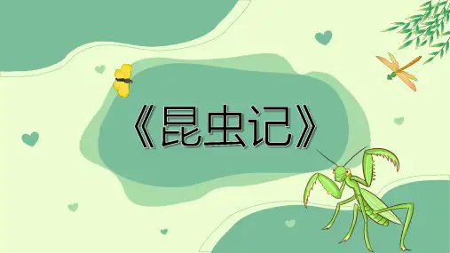 读书分享法布尔《昆虫记》PPT