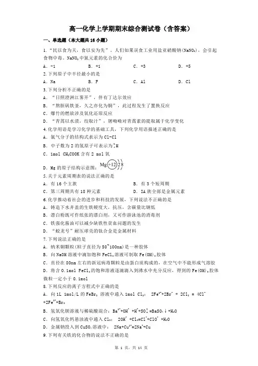 高一化学上学期期末综合测试卷(含答案)