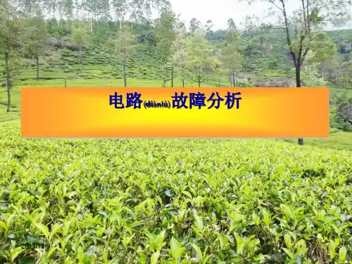 中考物理 电路故障复习课件