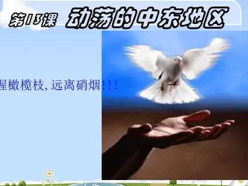动荡的中东地区ppt 人教版
