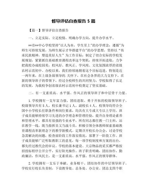 督导评估自查报告5篇