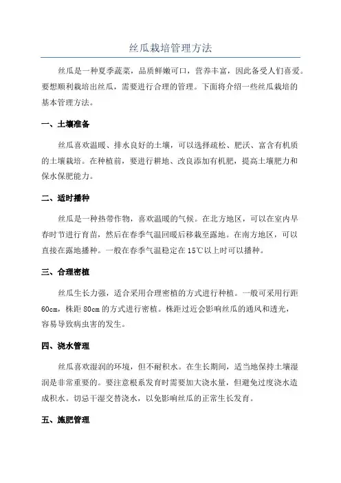丝瓜栽培管理方法