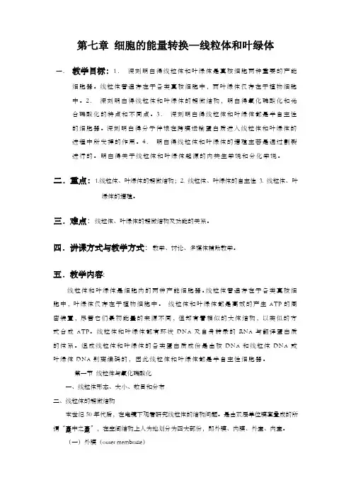 第七章细胞的能量转换—线粒体与叶绿体