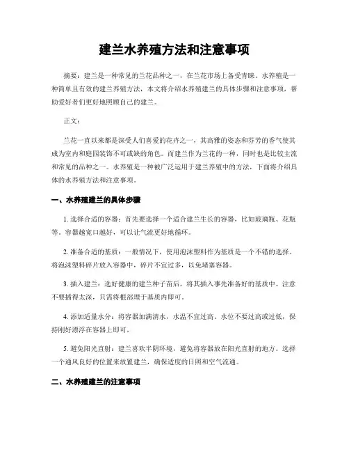 建兰水养殖方法和注意事项