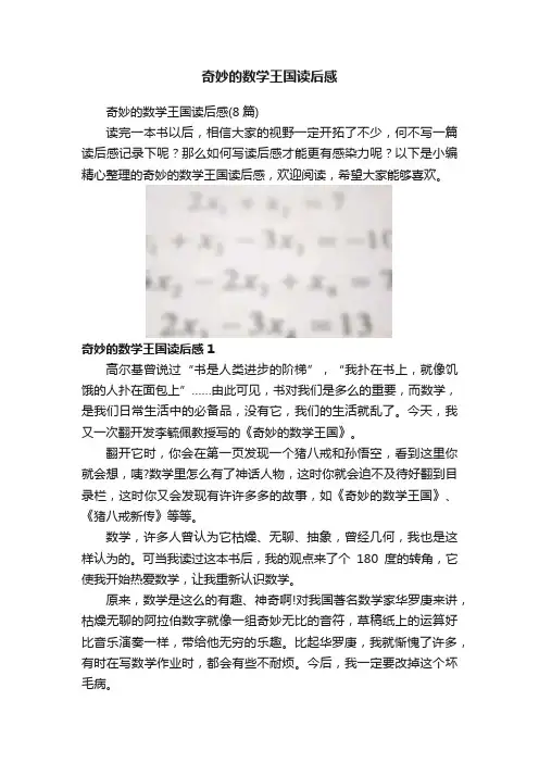 奇妙的数学王国读后感