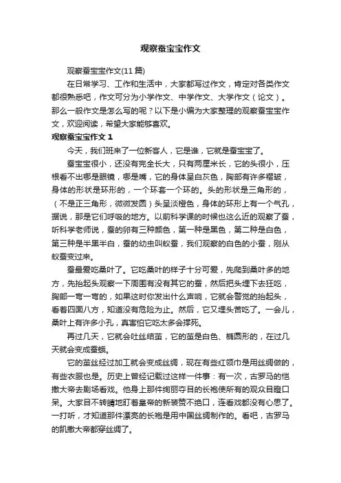 观察蚕宝宝作文（11篇）