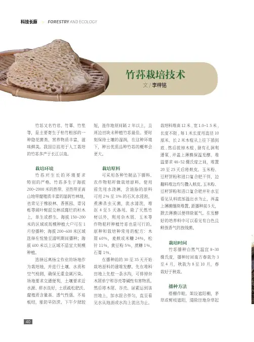 竹荪栽培技术