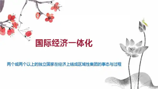 国际经济一体化