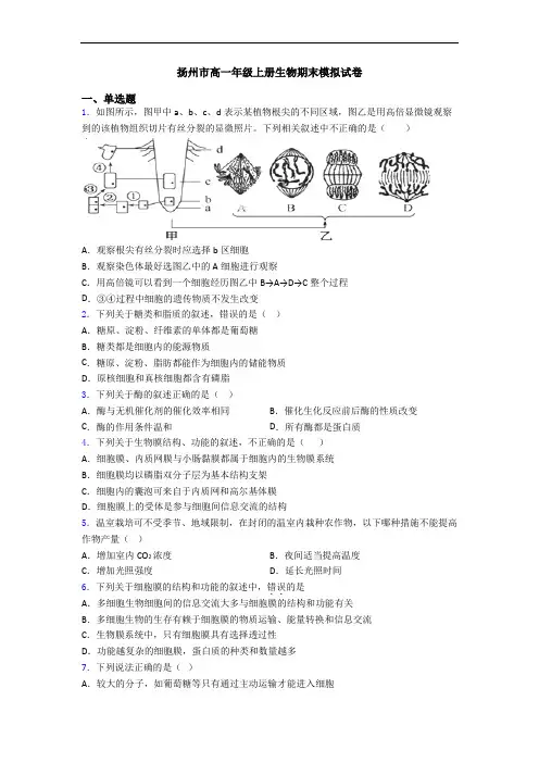 扬州市高一年级上册生物期末模拟试卷