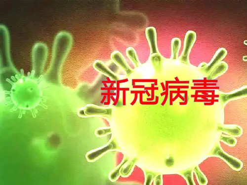 新冠病毒——高中生物解读ppt课件
