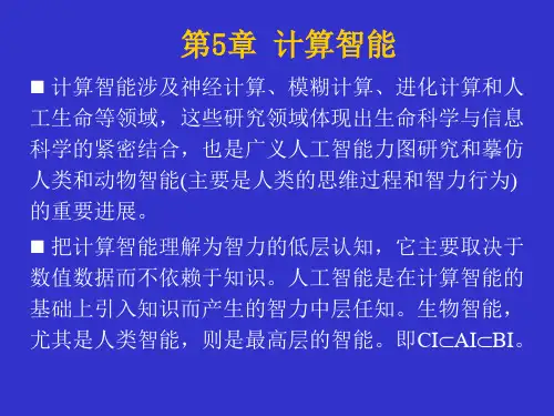 人工智能_第五章计算智能