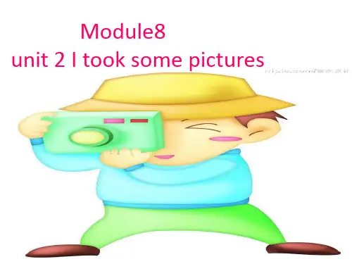 四年级下册英语课件-Module 8 Unit 2 I took some pictures∣外研版