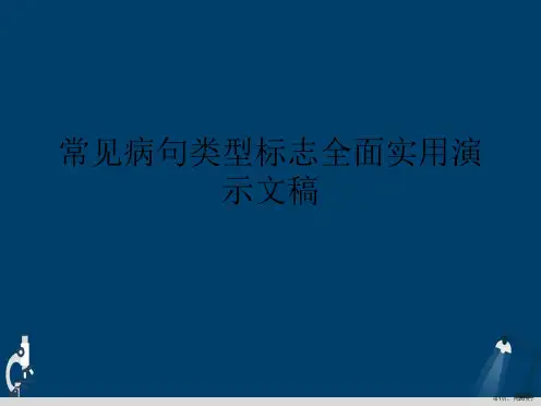 常见病句类型标志全面实用演示文稿