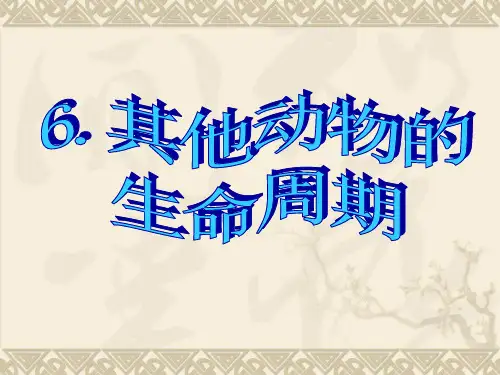 其他动物的生命周期