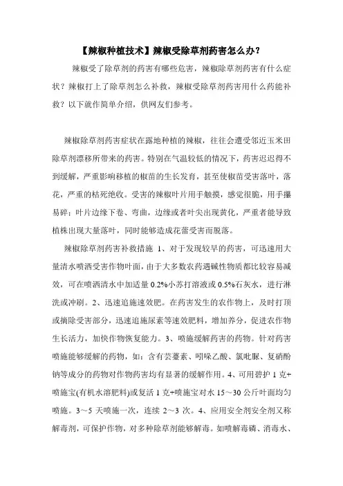 【辣椒种植技术】辣椒受除草剂药害怎么办？