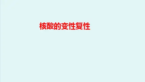 核酸—核酸的性质(生物化学课件)