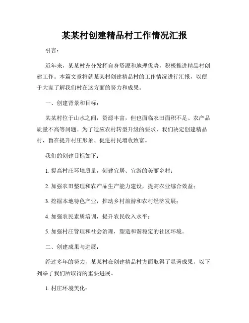 某某村创建精品村工作情况汇报