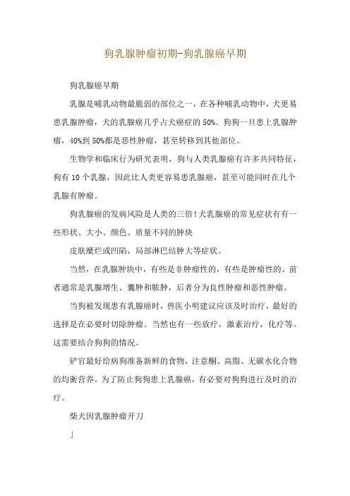 狗乳腺肿瘤初期-狗乳腺癌早期