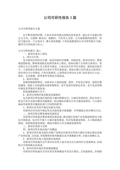 公司可研性报告3篇