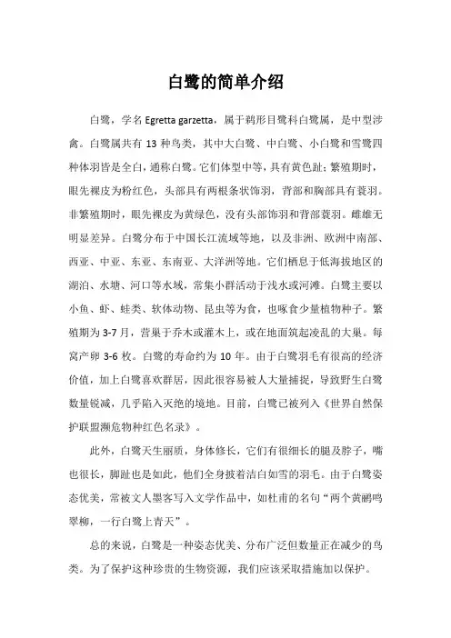 白鹭的简单介绍