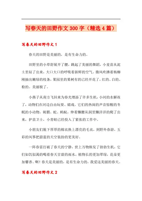 写春天的田野作文300字(精选4篇)