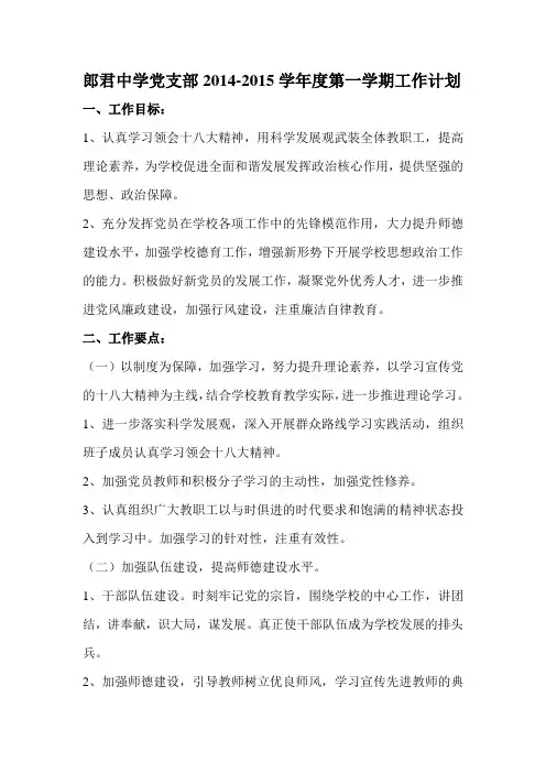 党支部工作计划 2
