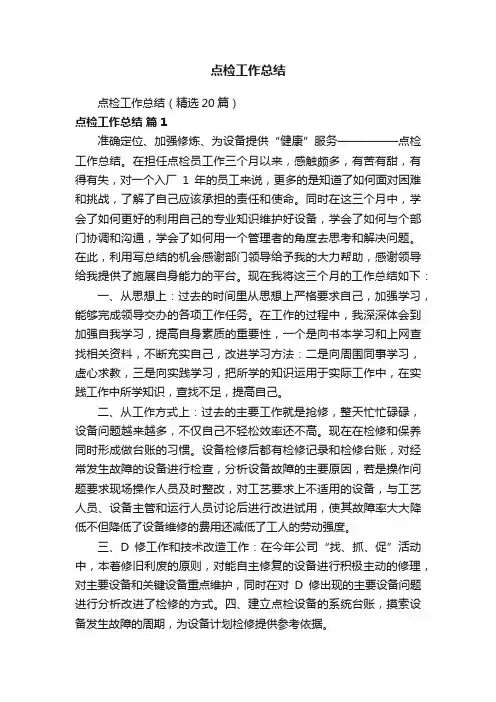 点检工作总结（精选20篇）