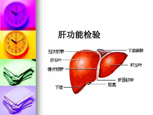 肝功能检验课件