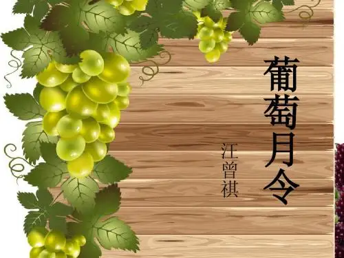 葡萄月令_汪曾祺