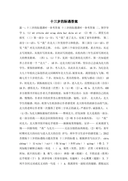 十三岁的际遇答案