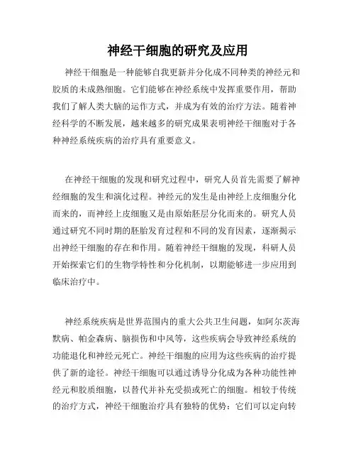 神经干细胞的研究及应用