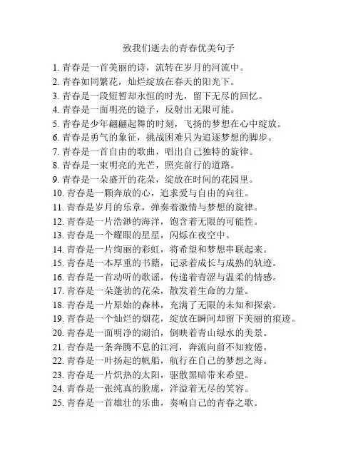 致我们逝去的青春优美句子