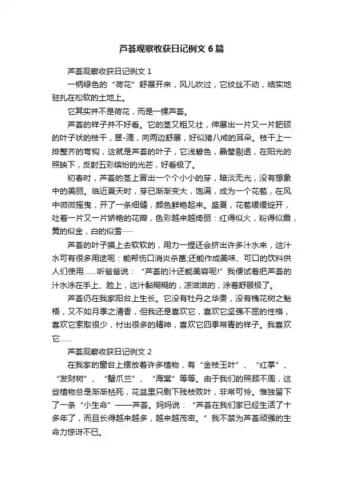 芦荟观察收获日记例文6篇