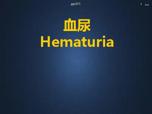 临床医学诊断学血尿  ppt课件
