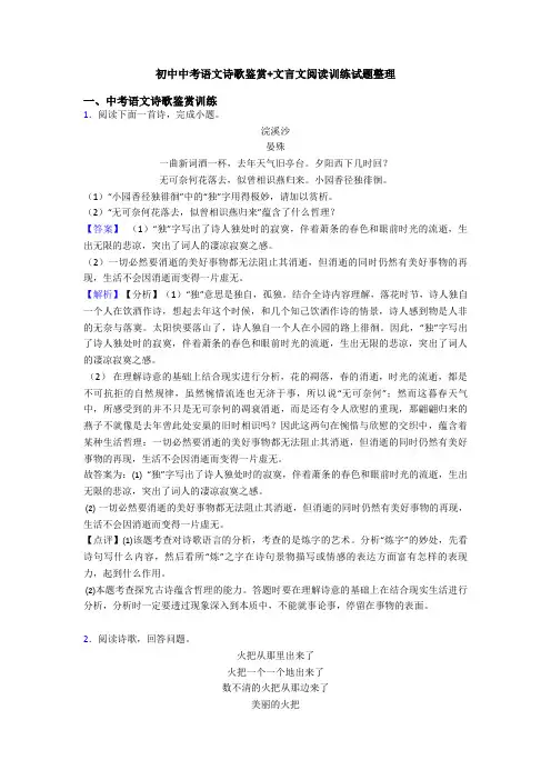 初中中考语文诗歌鉴赏+文言文阅读训练试题整理