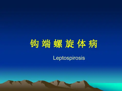 钩端螺旋体病