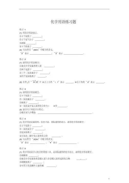 (完整word版)初中化学用语专项练习题初三中考整理