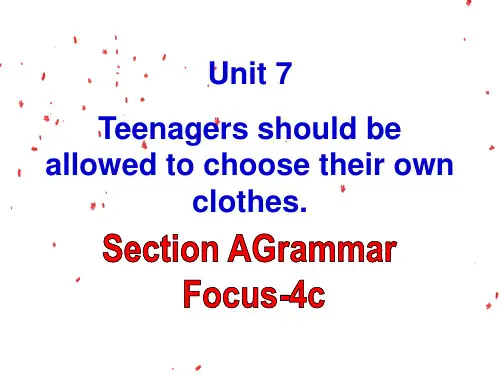 人教新目标九年级上册英语课件 Unit 7 Section A Grammar Focus-4c 