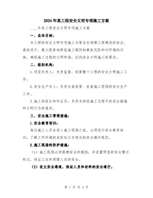2024年某工程安全文明专项施工方案